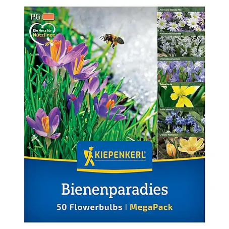 Kiepenkerl  Blumenzwiebeln Mega-Pack