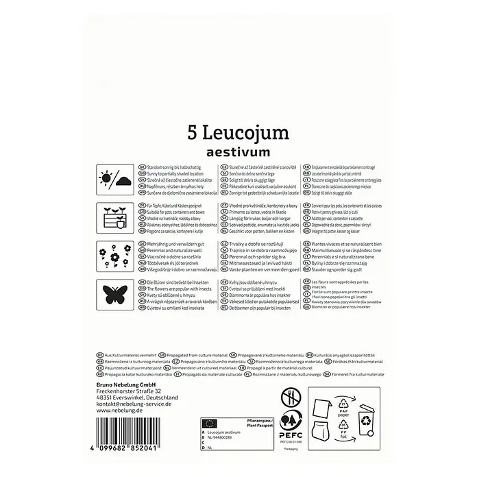 Kiepenkerl Blumenzwiebeln Sommerknotenblume - Leucojum aestivum, 5 Stk. - Produktinformationen zu 5 Leucojum aestivum, Hinweisen zu Standort, Pflege und Verwendung im Garten.