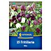 Kiepenkerl Cvjetne lukovice Logarica Mix 