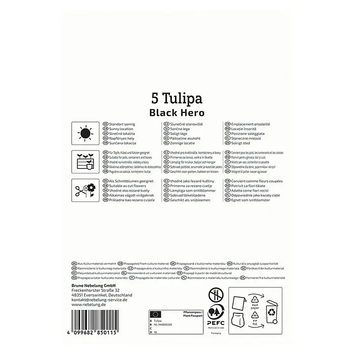 Kiepenkerl Profi-Line Blumenzwiebeln Tulpe - Tulipa x Hybrida 'Black Hero', 5 Stk. - Bild einer Verpackung mit Hinweisen zur Black Hero Tulpe, inklusive Pflanz- und Pflegehinweisen.