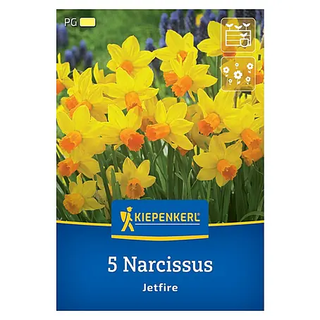Kiepenkerl  Blumenzwiebeln Narzisse