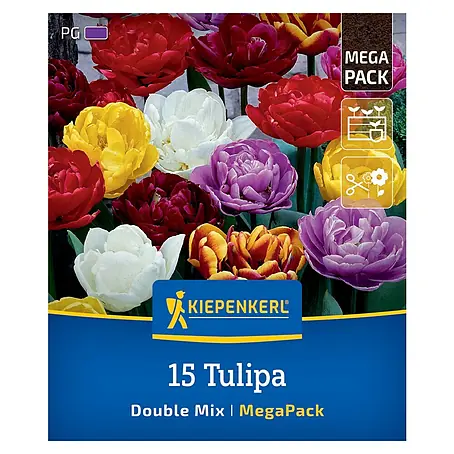 Kiepenkerl  Blumenzwiebeln gefüllte Tulpenmischung