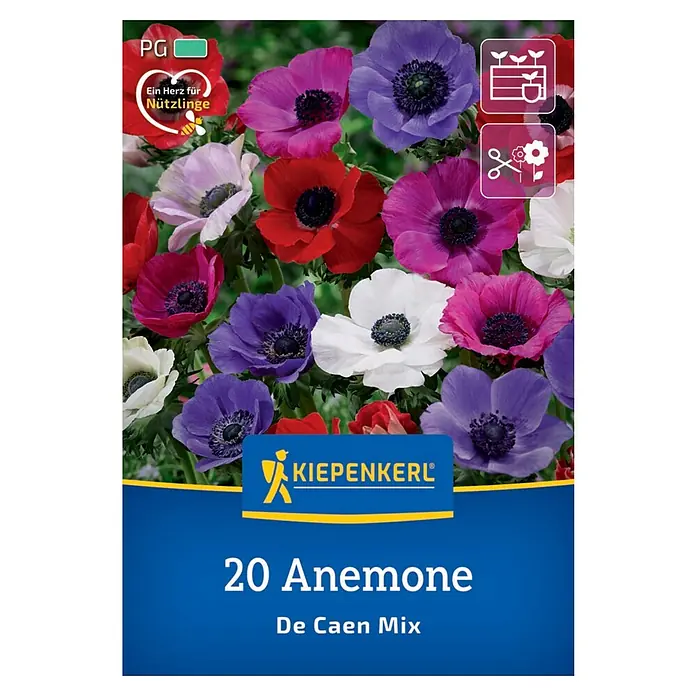 Kiepenkerl Blumenzwiebeln Kronen-Anemone Mischung - Anemone coronaria De Caen, 20 Stk. - Produktbild: Anemonen De Caen Mix-Samenpackung mit bunten Blumen und Informationen zum Anbau.