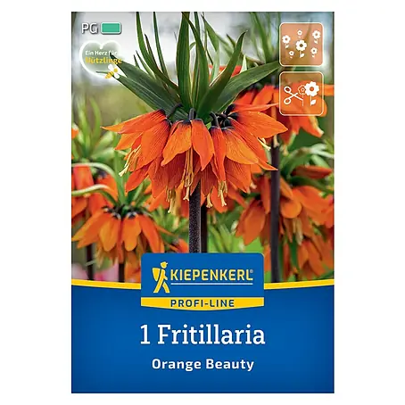 Kiepenkerl Profi-Line Blumenzwiebeln Kaiserkrone