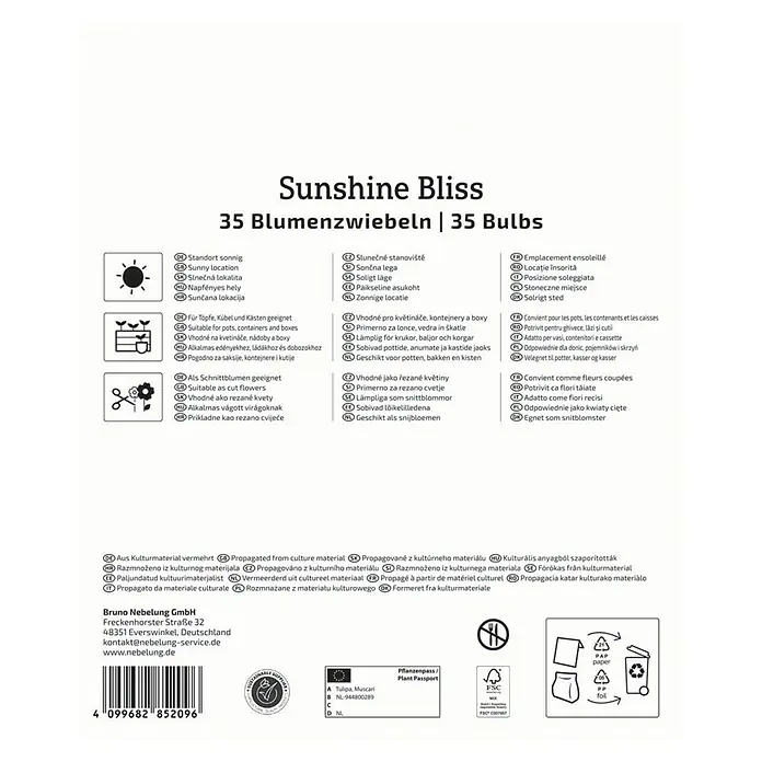 Kiepenkerl Blumenzwiebeln Mega-Pack - Sunshine Bliss, 35 Stk. - Verpackungsrückseite mit Infos zu "Sunshine Bliss"-Blumenzwiebeln, geeignet für sonnige Standorte, Töpfe und als Schnittblumen.