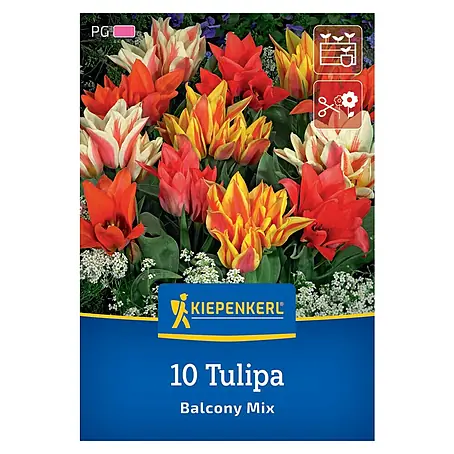 Kiepenkerl  Blumenzwiebeln Tulpenmischung