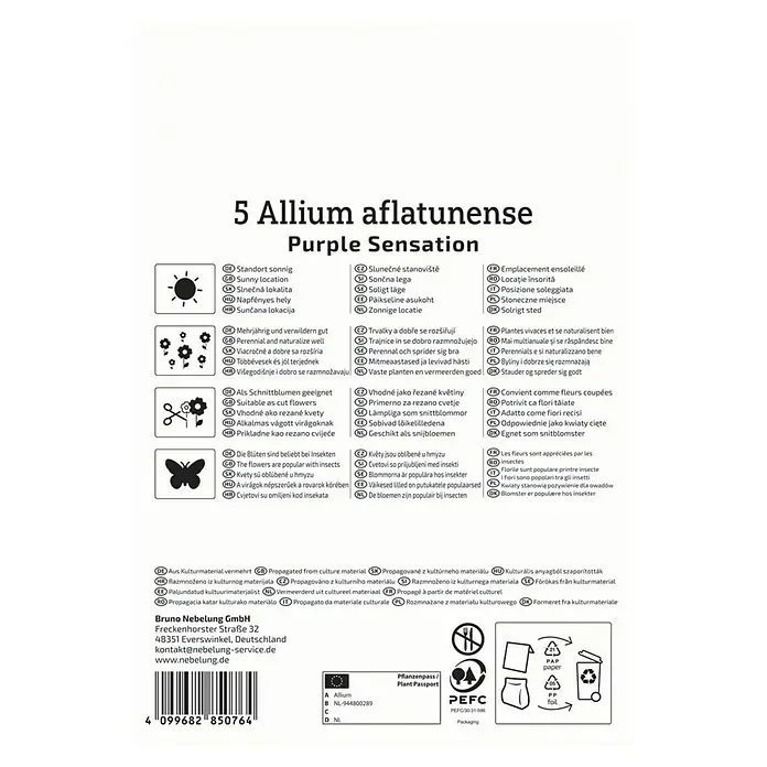 Kiepenkerl Blumenzwiebeln Zierlauch - Allium aflatunense 'Purple Sensation', 5 Stk. - Informationen zu 5 Allium aflatunense 'Purple Sensation'-Zwiebeln, ideal für sonnige Standorte und als Schnittblumen.