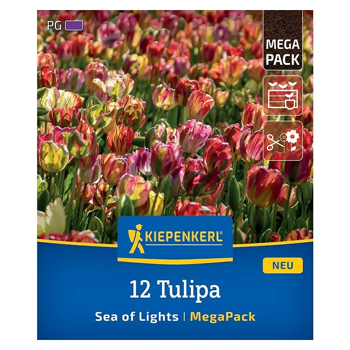 Kiepenkerl Blumenzwiebeln Tulpenmischung - Tulipa x Hybrida Sea of Lights, 12 Stk. - Verpackung mit 12 Tulipa "Sea of Lights" Blumenzwiebeln von Kiepenkerl, ideal für einen farbenfrohen Garten.