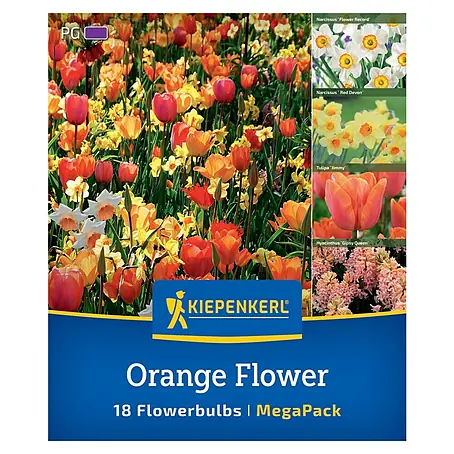Kiepenkerl  Blumenzwiebeln Mega-Pack