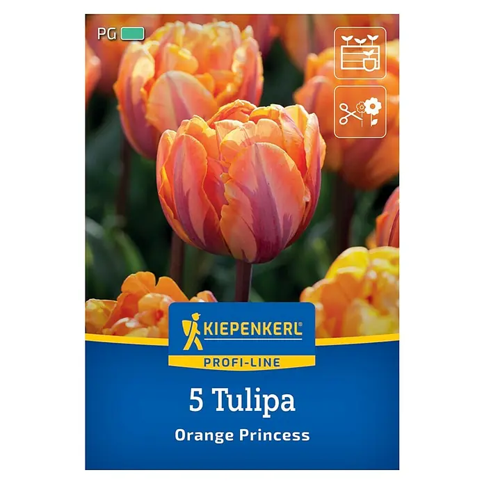 Kiepenkerl Profi-Line Blumenzwiebeln Tulpe - Tulipa x Hybrida 'Orange Princess', 5 Stk. - Bild einer 'Orange Princess' Tulpenpackung von Kiepenkerl, ideal für Gärten und Rabatten.