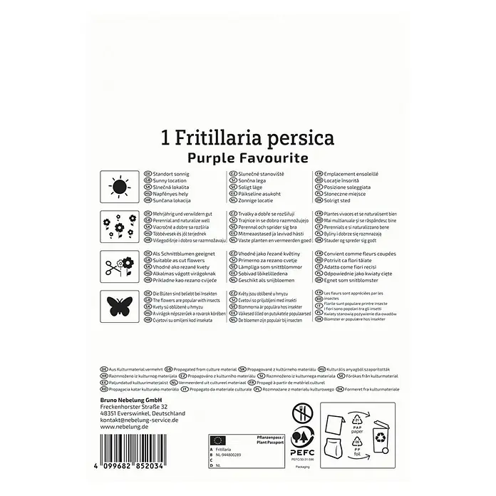 Kiepenkerl Profi-Line Blumenzwiebeln Persische Kaiserkrone - Fritillaria persica 'Purple Favourite', 1 Stk. - Produktbild von Fritillaria persica 'Purple Favourite', ideal für sonnige Standorte und als Schnittblume.