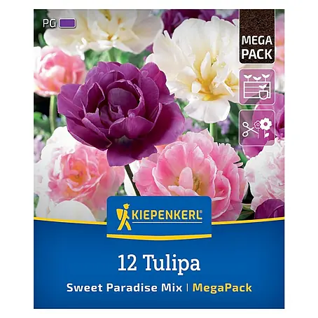 Kiepenkerl  Blumenzwiebeln Mega-Pack