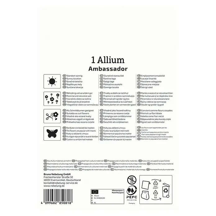 Kiepenkerl Profi-Line Blumenzwiebeln Zierlauch - Allium 'Ambassador', 1 Stk. - Pflanzeninformationen für Allium Ambassador, einschließlich Sonnenstandort, winterhart, insektenfreundlich und aus Kulturmaterial vermehrt.
