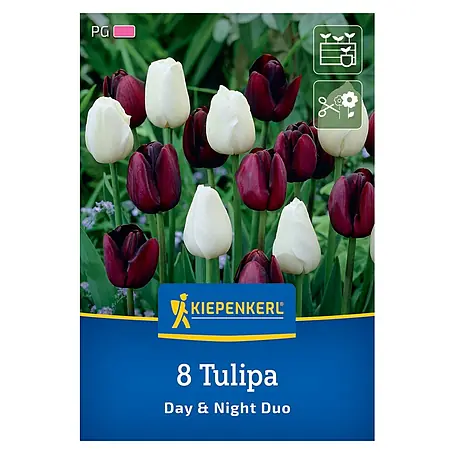 Kiepenkerl  Blumenzwiebeln Tulpenmischung