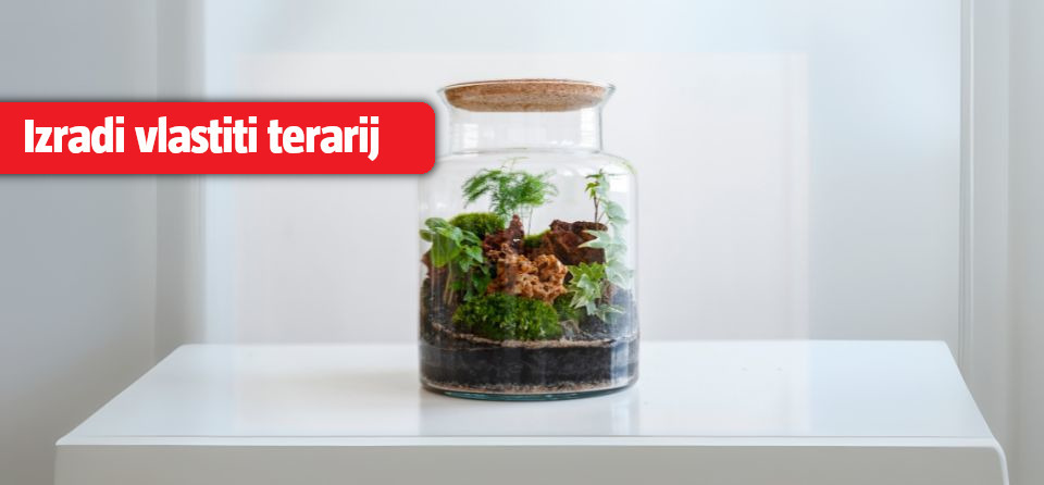 Napravi vlastiti terarij