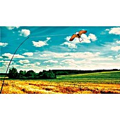 Altadex Recambio cometa espantapájaros Águila (1 ud.) | BAUHAUS