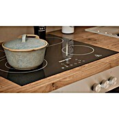 Respekta Premium Composición de cocina (Ancho: 310 cm, Con dispositivos eléctricos, Réplica de alerce blanco)