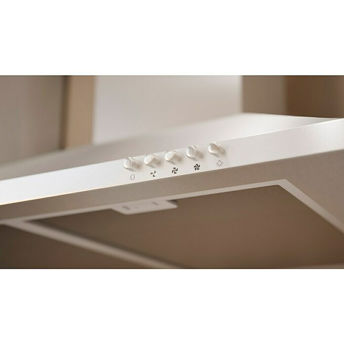 Respekta Premium Composición de cocina (Ancho: 220 cm, Con dispositivos eléctricos, Réplica de alerce blanco)
