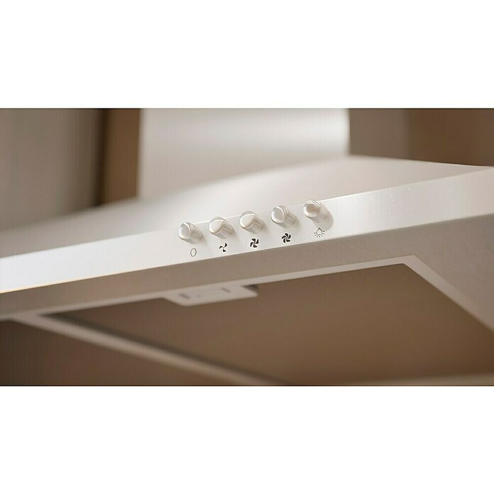 Respekta Premium Composición de cocina (Ancho: 240 cm, Con dispositivos eléctricos, Réplica de alerce blanco)