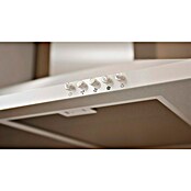 Respekta Premium Composición de cocina (Ancho: 280 cm, Con dispositivos eléctricos, Réplica de alerce blanco)
