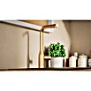 Grohe Essence Spültischarmatur (Cool Sunrise, Matt, Ausziehbare Dual-Spülbrause)