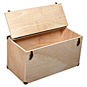 Stabilit Cierre para caja (An x Al: 18 x 61 mm, Acero, Zincado) | BAUHAUS