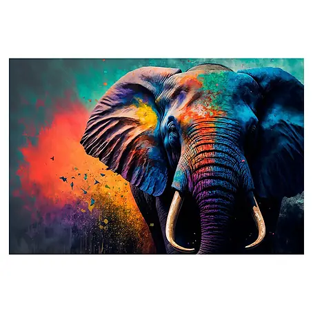 Cuadro Elefante
