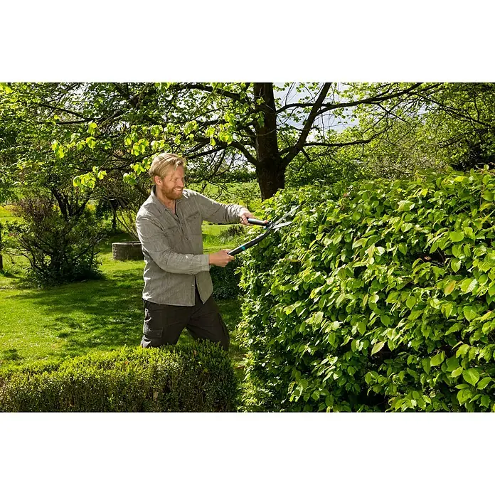 Gardena EnergyCut Hand-Heckenschere - Länge: 605 mm - Ein Mann beschneidet eine grüne Hecke mit einer Heckenschere im Garten, umgeben von üppigem Grün und Bäumen.
