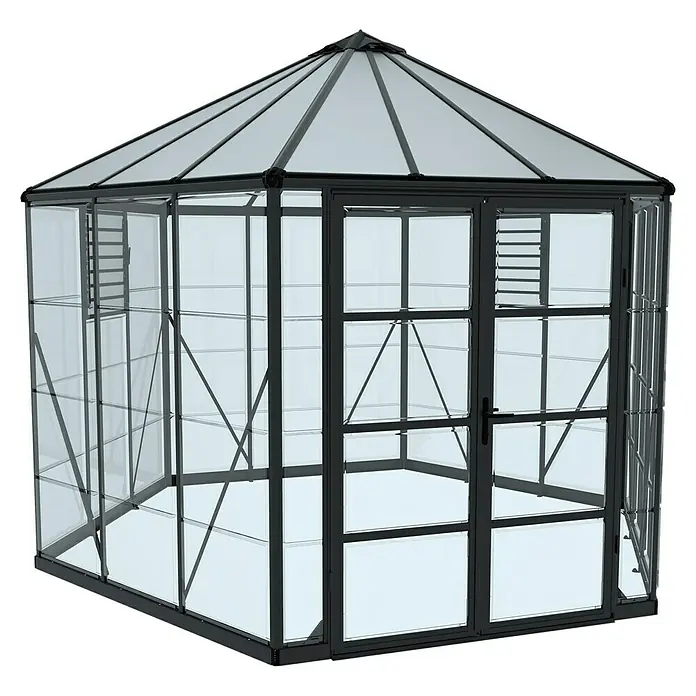 Palram – Canopia Invernadero Oasis - Medidas ext. (An x Pr): 316 x 362,8 cm, 0,7 mm, Antracita - Un invernadero moderno con estructura negra y paneles de vidrio transparente. Ideal para los amantes del jardín.