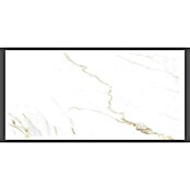 Halcón Porculanska pločica Naos Gold Mate Satinado  (60 x 120 cm) | BAUHAUS