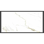 Halcón Porculanska pločica Naos Gold Mate Satinado  (30 x 60 cm, Bijela, Svilenkasti mat) | BAUHAUS