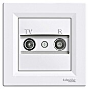 Schneider Electric Asfora Antenska vtičnica končna TV/R  (Bela, 1 dB) | 3211 - Markenschalter innen UP | CBCA - Markenschalter | CBC - Schalterserien | CB - Elektroinstallation | C - Elektro | BAUHAUS
