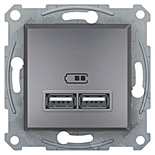 Schneider Electric Asfora Zidna utičnica s USB utorom (Siva, Podžbukna montaža, Plastika)