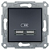 Schneider Electric Asfora USB vložek za vtičnico  (Antracit, 2-krat, Podometna montaža, Plastika) | 3211 - Markenschalter innen UP | CBCA - Markenschalter | CBC - Schalterserien | CB - Elektroinstallation | C - Elektro | BAUHAUS