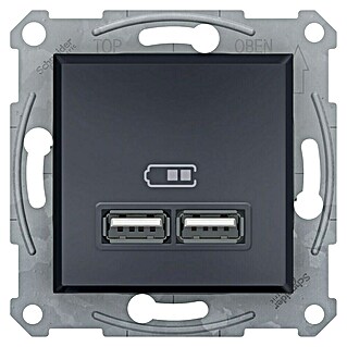 Schneider Electric Asfora Zidna utičnica s USB utorom (Antracit, 2-struko, Podžbukna montaža, Plastika)