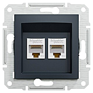 Schneider Electric Asfora Mrežna utičnica CAT5E (Antracit, 2-struko, RJ45, bez okvira)