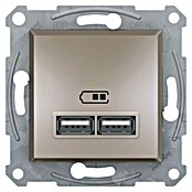 Schneider Electric Asfora Zidna utičnica s USB utorom  (Bronca, 2-struko, Podžbukna montaža, Plastika) | BAUHAUS