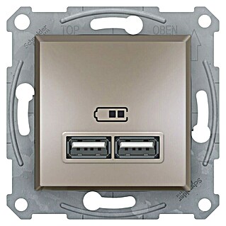 Schneider Electric Asfora Zidna utičnica s USB utorom (Bronca, 2-struko, Podžbukna montaža, Plastika)