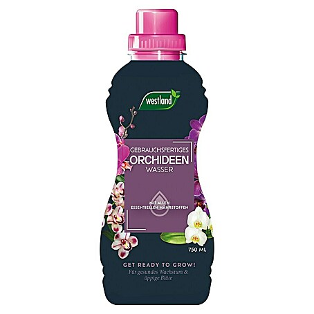 Westland Orchideendünger Orchideenwasser