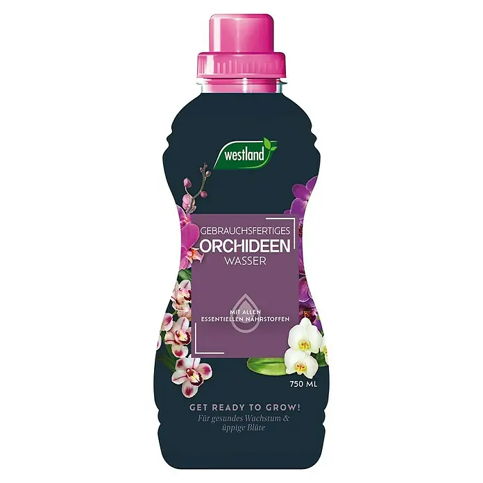 Westland Orchideendünger Orchideenwasser - 750 ml - Eine Flasche gebrauchsfertiges Westland Orchideenwasser, ein Dünger zur Förderung von gesundem Wachstum und üppiger Blüte.