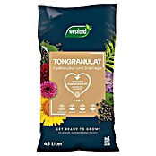 Westland Tongranulat