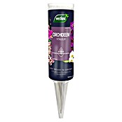 Westland Vitalkur (Inhalt: 40 ml)