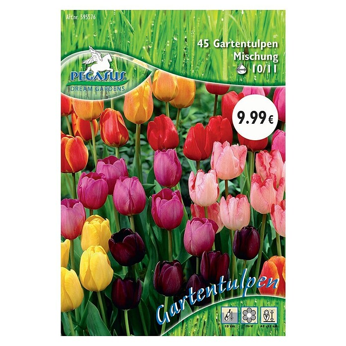 Blumenzwiebeln Gartentulpen (Tulipa x Hybrida, 45 Stk.) | BAUHAUS