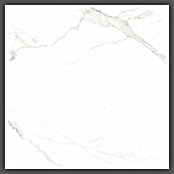 Halcón Podna pločica Naos Blanco Mate Satinado  (60,5 x 60,5 cm, Bijela, Svilenkasti sjaj) | BAUHAUS