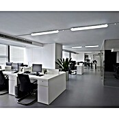 Profi Depot LED-Feuchtraumlichtleiste mit Durchverdrahtung (L x B x H: 128,4 x 6,2 x 6 cm, Lichtfarbe: Tageslichtweiß, 7,5 W, IP65) | BAUHAUS
