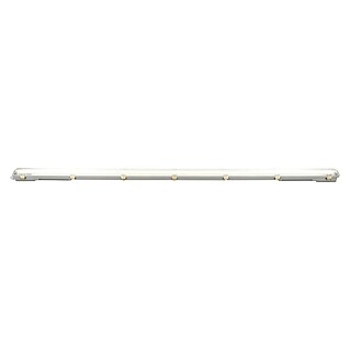 Voltolux Lamp voor vochtige ruimtes (l x b x h: 158,4 x 6,2 x 6 cm, Lichtkleur: Daglicht wit, 19 W, IP65)