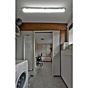 Voltolux Feuchtraumleuchte (L x B x H: 128,4 x 6,2 x 6 cm, Lichtfarbe: Tageslichtweiß, 14 W, IP65) | BAUHAUS