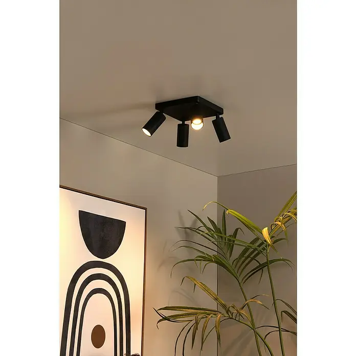 Lucide Clubs Deckenstrahler - 40 W, L x B x H: 28 x 24,5 x 11,5 cm, Schwarz, GU10 - Schwarze Deckenleuchte mit vier Strahlern. Die Lampe ist an einer Decke montiert, darunter eine Zimmerpflanze und ein gerahmtes Bild.