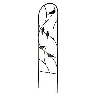 Windhager Rankgitter Bird (B x H: 25 x 101 cm, Schwarz, Metall)