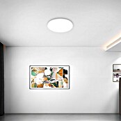 Panaled Plafón LED redondo Dach (24 W, Ø x Al: 35 x 7 cm, Blanco, Blanco cálido) | BAUHAUS